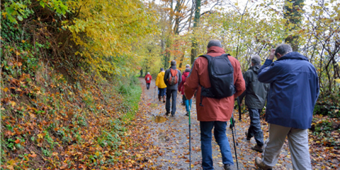 Wandelmidweek Ardennen